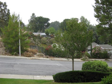 The View from my Front Door