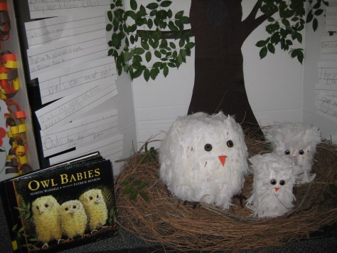 Owl Babies