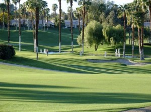 Palm Desert Sunny Palm Desert Sunny