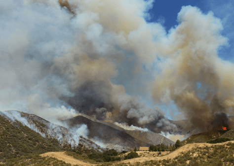 Powerhouse Fire - Daily News