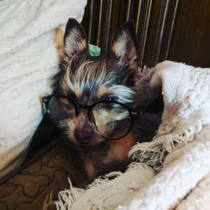 Chloe wearing her glasses. 