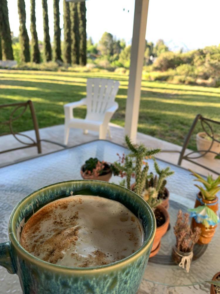 Morning coffee in the backyard.