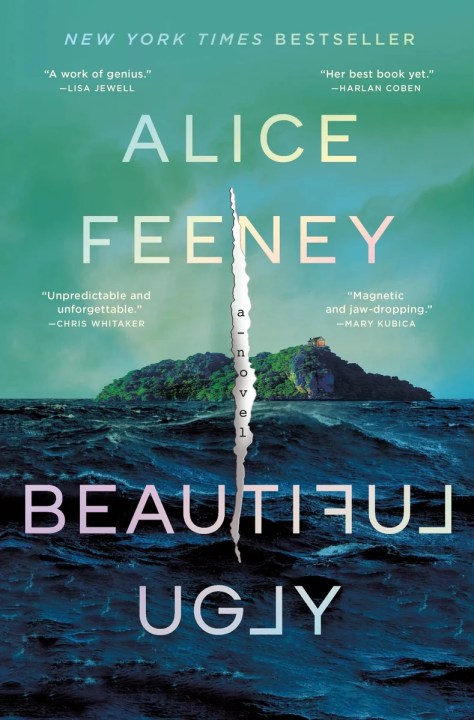 Beautiful Ugly book cover